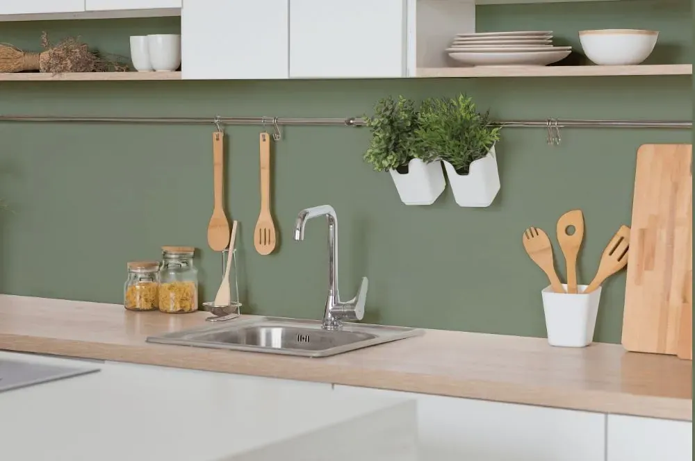 Behr Hillside Green kitchen backsplash