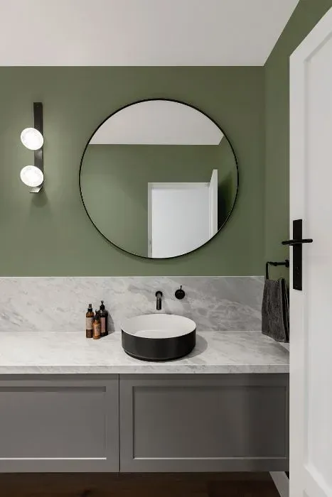 Behr Hillside Green minimalist bathroom