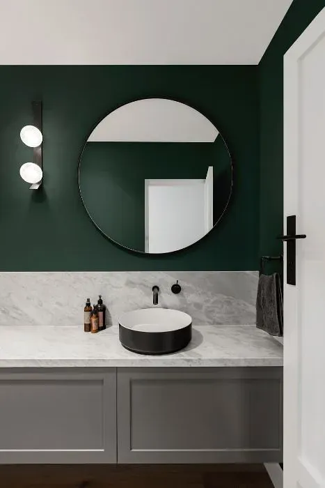 Behr Hostaleaf minimalist bathroom