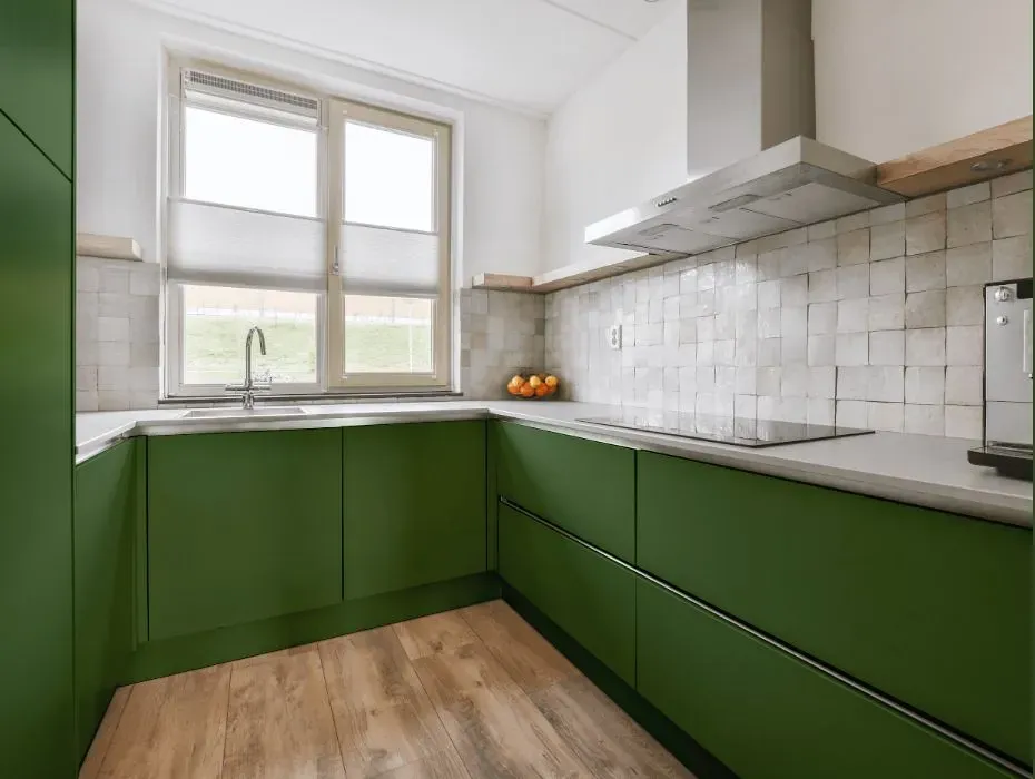 Behr Hummingbird Green small kitchen cabinets