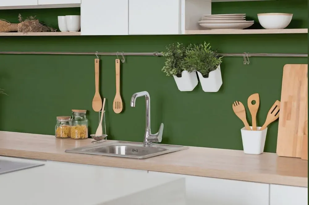 Behr Hummingbird Green kitchen backsplash