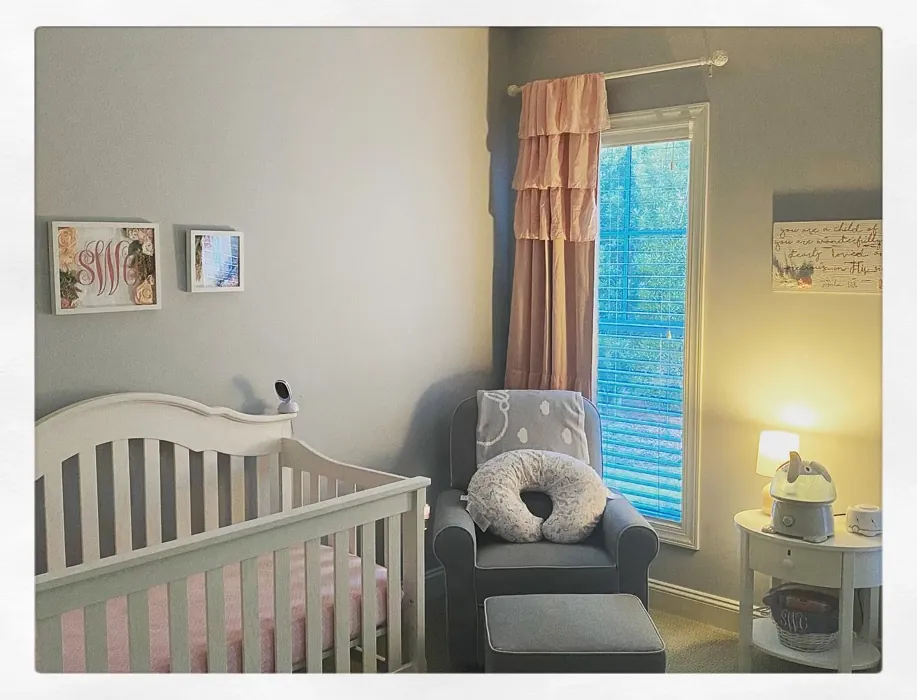 Behr Hush kids' room color