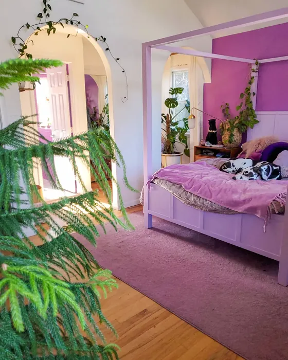 Behr I Heart Potion bedroom inspo