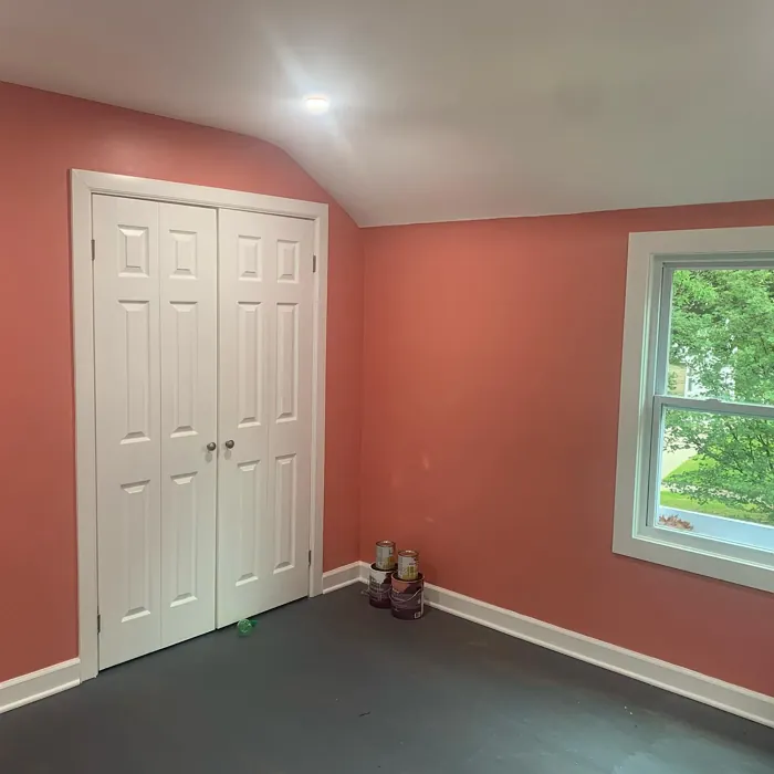 Behr Indian Sunset wall paint review