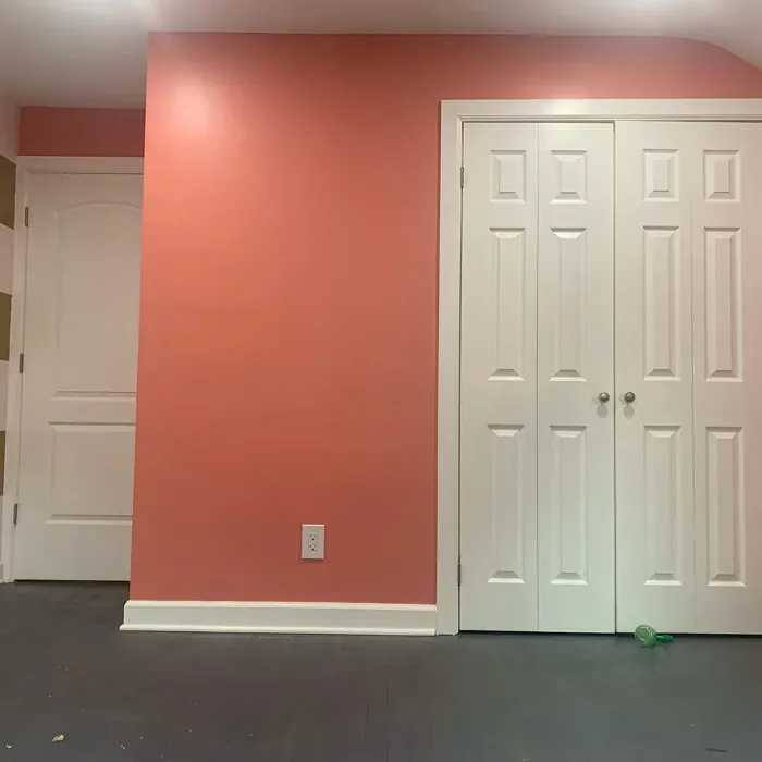 Behr M170-5 wall paint 