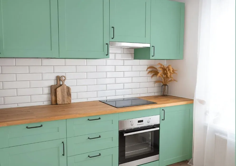 Behr Jade Mountain kitchen cabinets