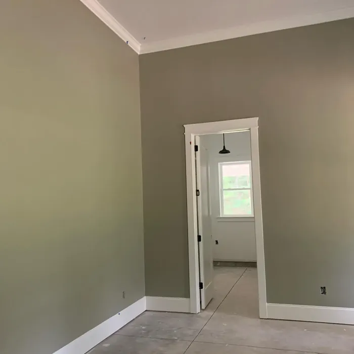 Behr Jungle Camouflage wall paint color review