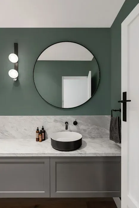 Behr Juniper Ash minimalist bathroom