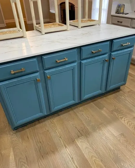 Behr Juniper Berries kitchen cabinets color review