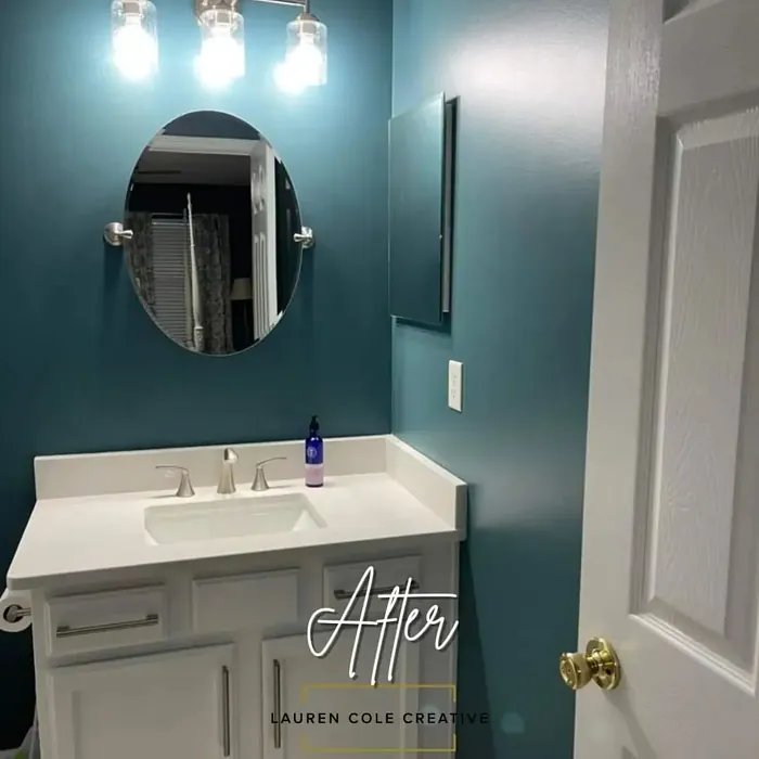 Behr Juniper Berries bathroom color review