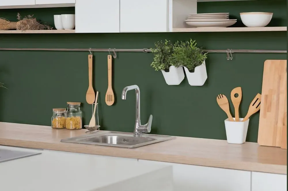 Behr Lakeside Pine kitchen backsplash