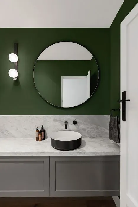 Behr Lakeside Pine minimalist bathroom