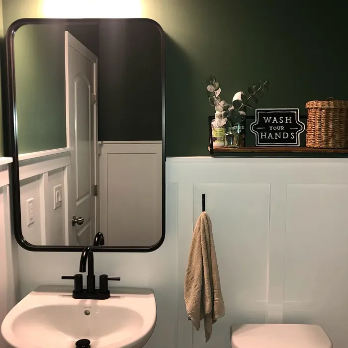 Behr Laurel Garland bathroom paint