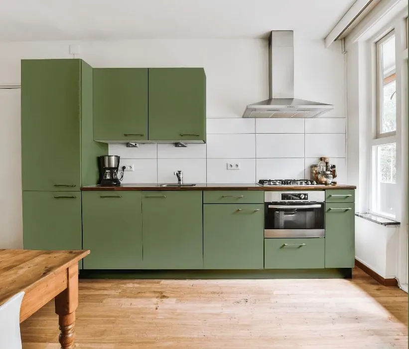 Behr Laurel Tree kitchen cabinets