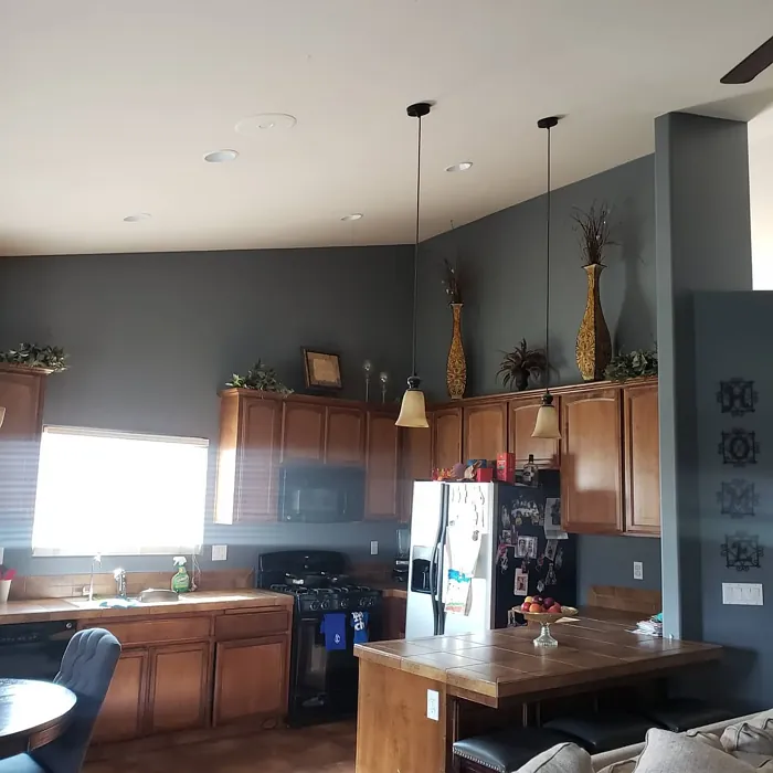 Behr Legendary Gray kitchen paint