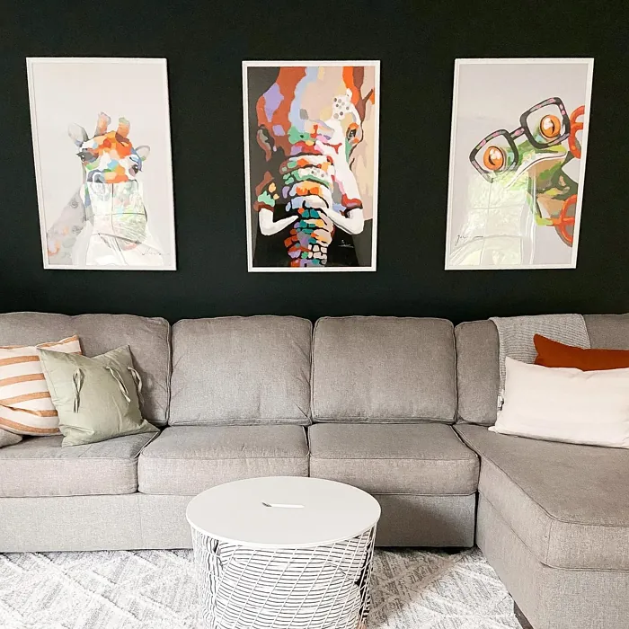 Behr Little Black Dress living room color review