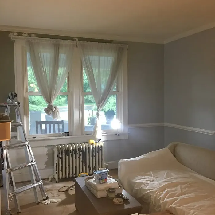 Behr Loft Space living room color review