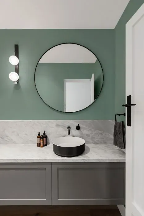 Behr Lotus Leaf minimalist bathroom