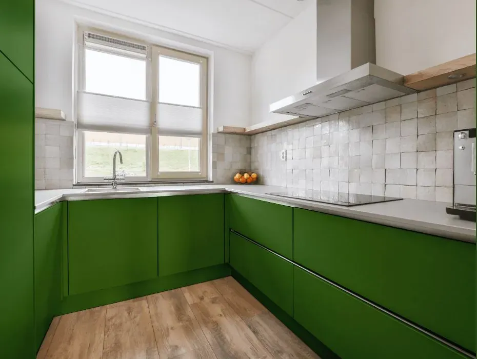 Behr Luck Of The Irish small kitchen cabinets