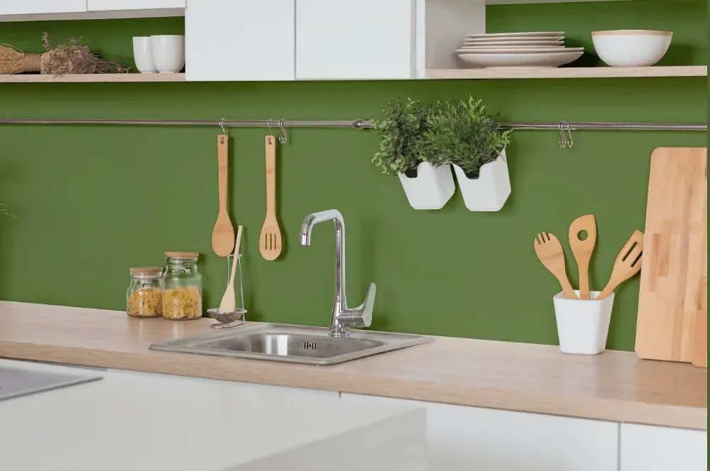 Behr Lucky Clover kitchen backsplash