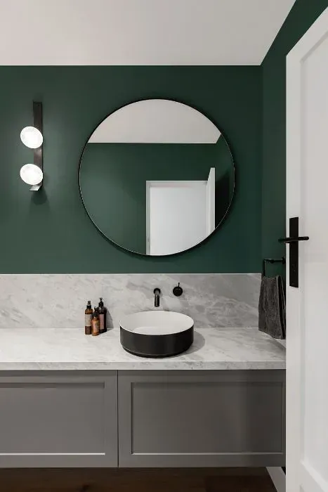 Behr Meteorological minimalist bathroom