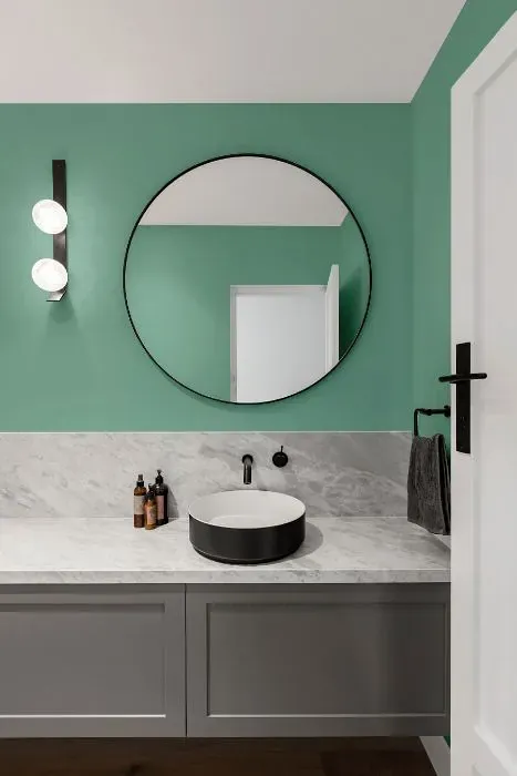 Behr Mild Evergreen minimalist bathroom