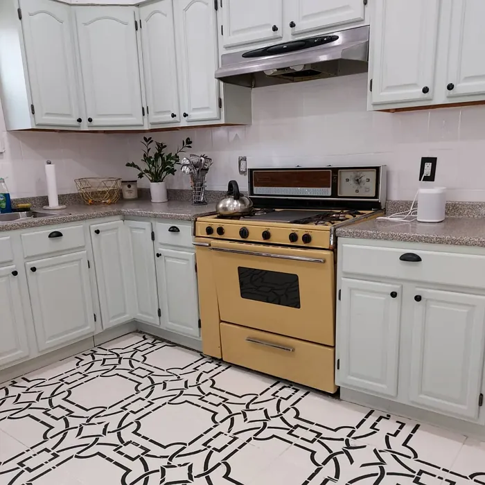 Behr Mild Mint kitchen cabinets color