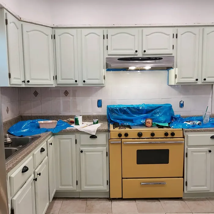 Behr Mild Mint kitchen cabinets 