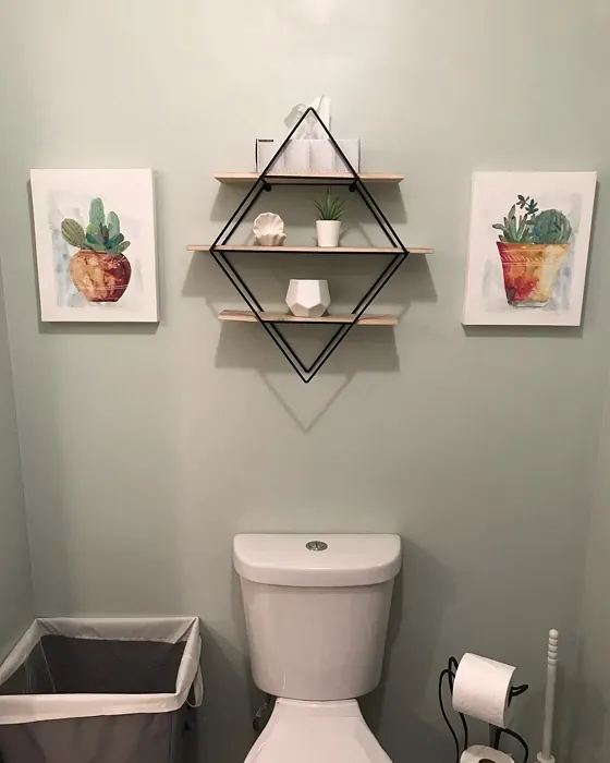 Behr Mild Mint bathroom color