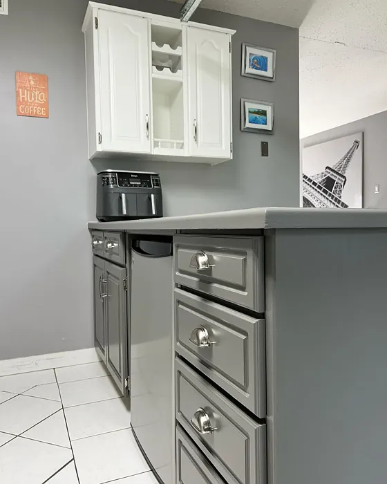Behr Mined Coal kitchen cabinets color review
