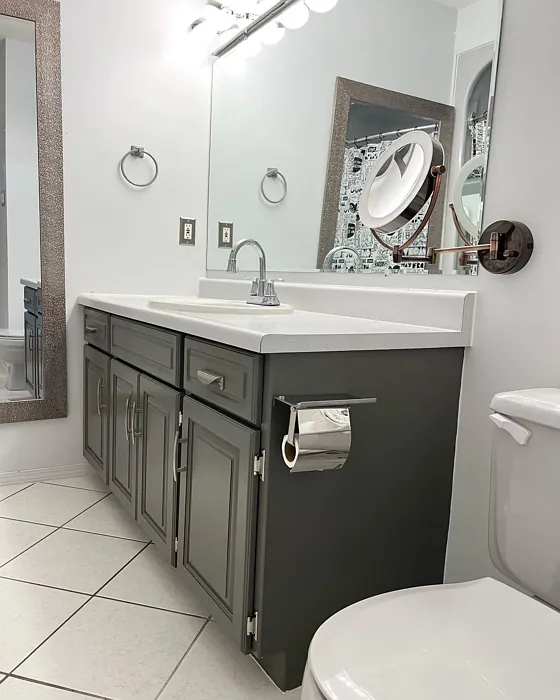Behr Mined Coal bathroom vanity color paint