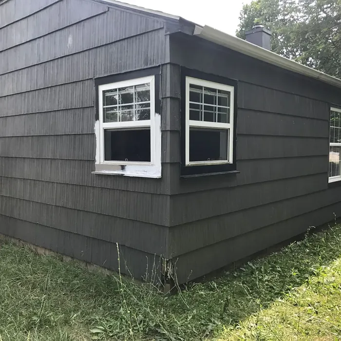 Behr Mined Coal house exterior color review