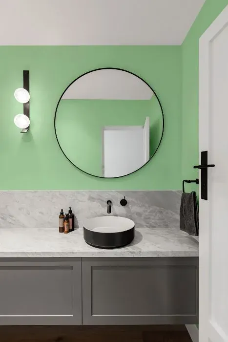 Behr Mint Parfait minimalist bathroom