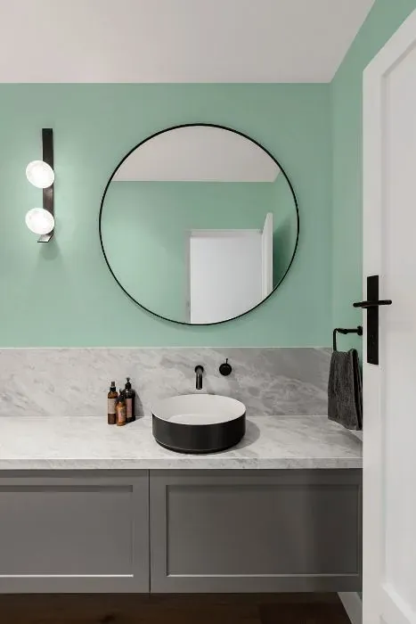 Behr Mirador minimalist bathroom