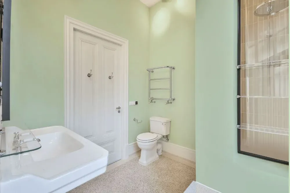 Behr Misty Meadow bathroom