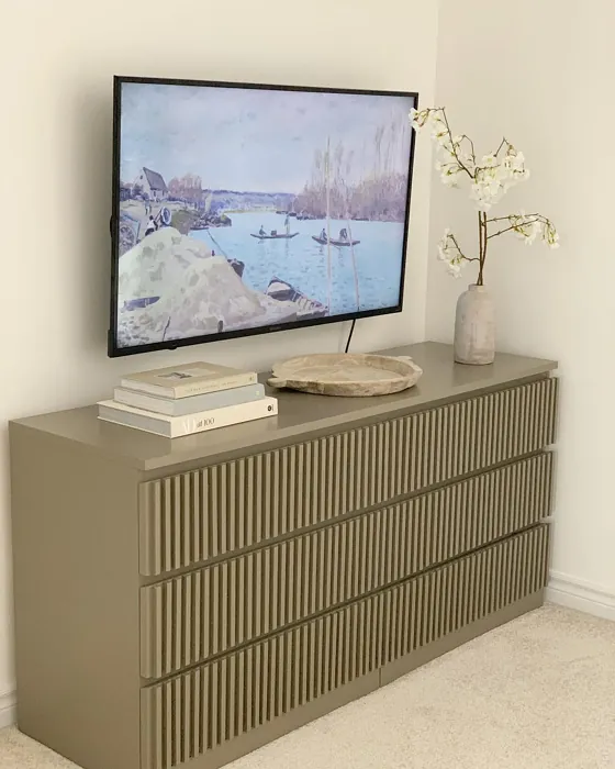 Behr Mocha Accent painted furniture 