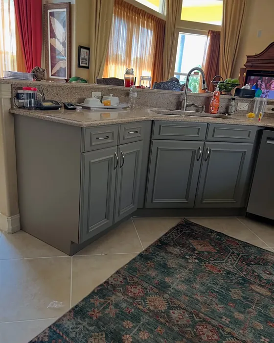 Behr 720D-5 kitchen cabinets color