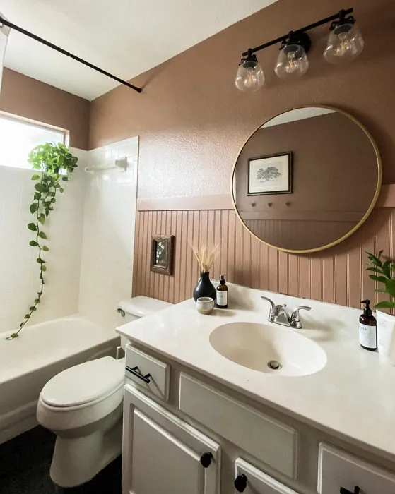 Behr Modern Mocha bathroom review