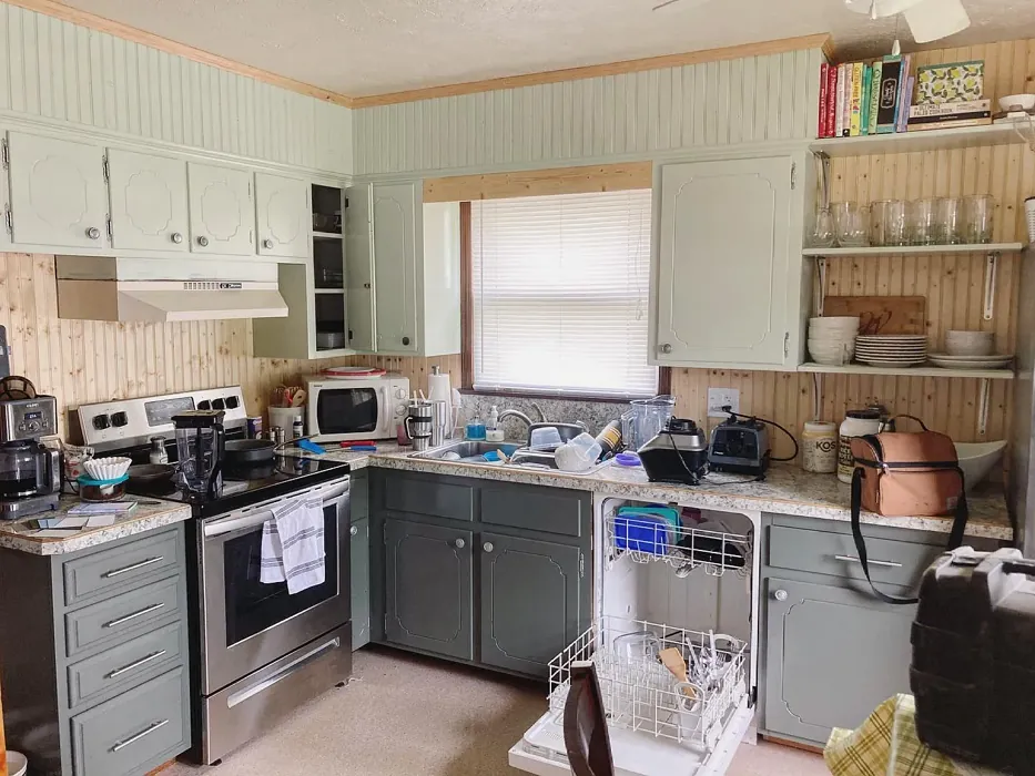 Behr Morning Zen kitchen cabinets 