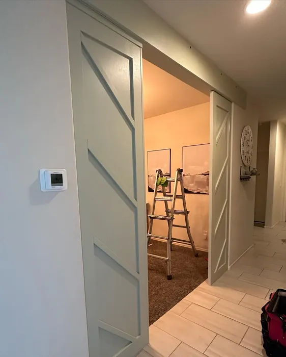 Behr Morning Zen door color