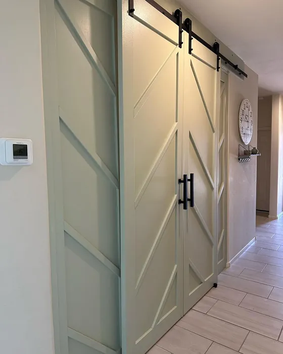 Behr S380-2 door color