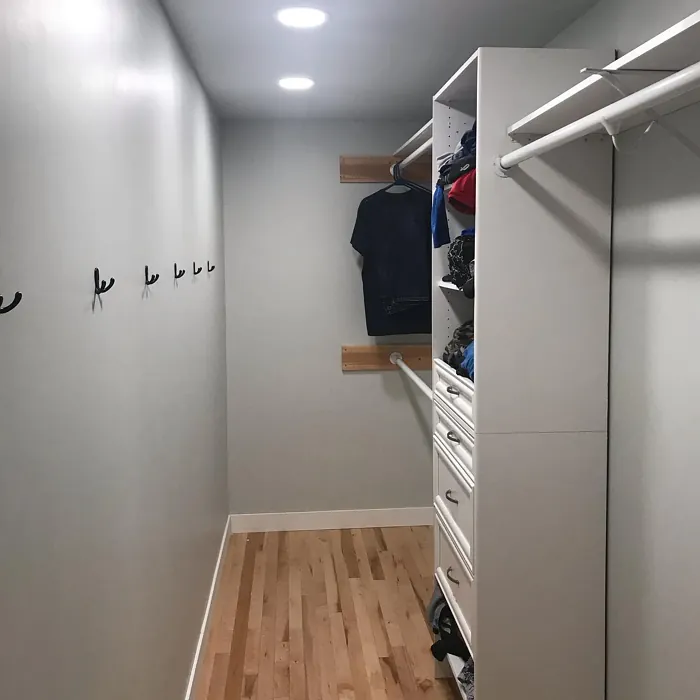 Behr Mortar closet paint