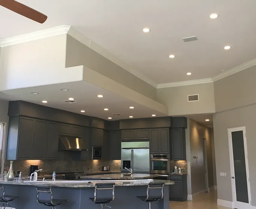 Behr Moth Gray kitchen interior