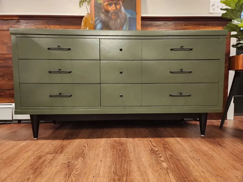 Behr Mountain Olive painted furniture color