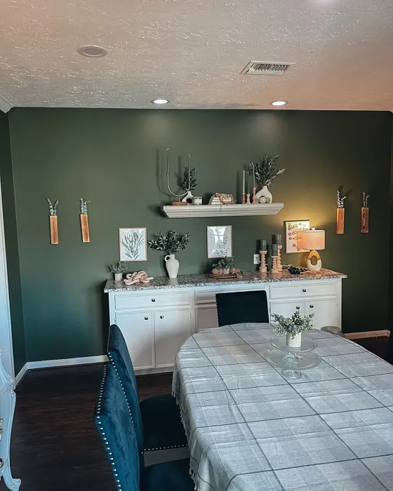 Behr Mountain Olive dining room color