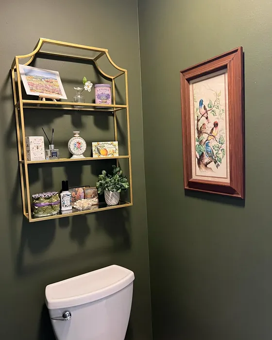 Behr Mountain Olive bathroom review