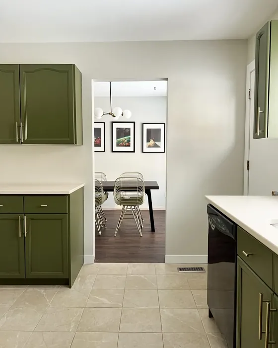 Behr Mountain Olive kitchen cabinets color