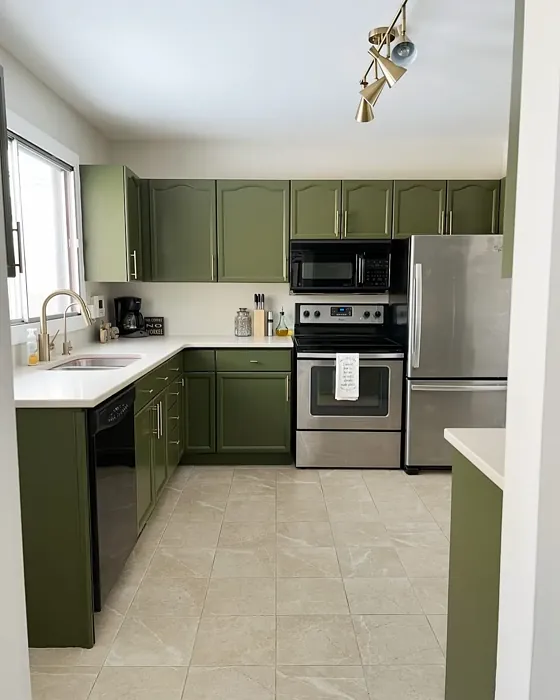 Behr Mountain Olive kitchen cabinets color review