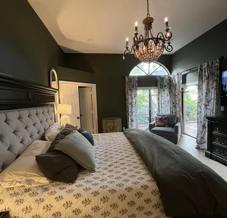 Behr Mountain Olive bedroom paint review