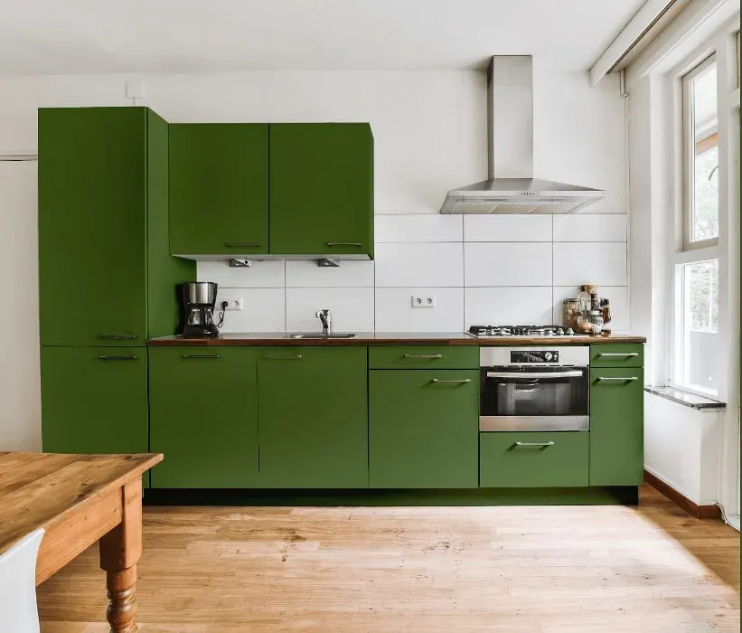 Behr Mown Grass kitchen cabinets